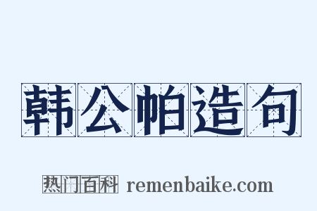 韩公帕造句是什么意思的图片